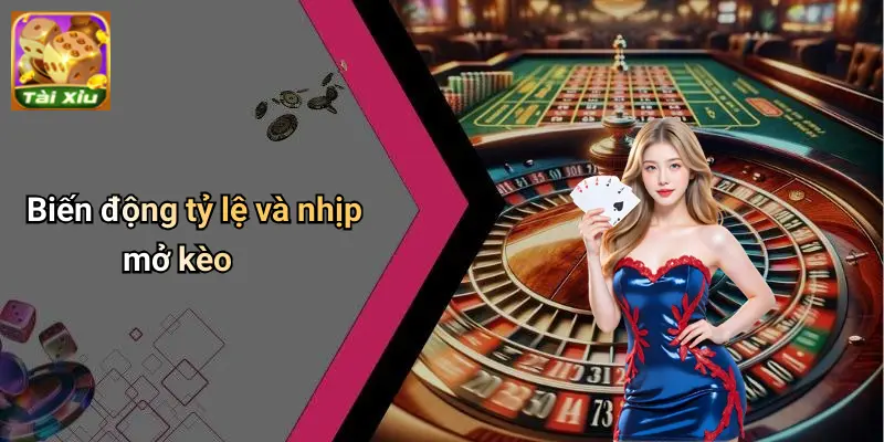 Tin tức tài xỉu