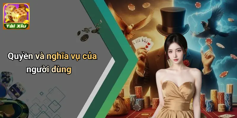 Điều khoản điều kiện