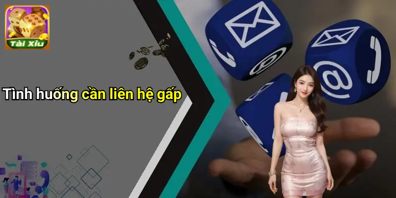 Liên hệ