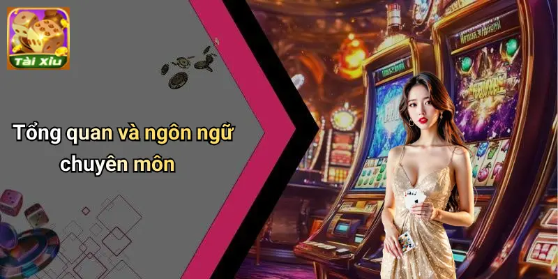 Trò Chơi Tài Xỉu