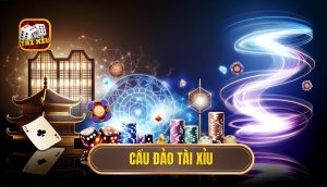 cầu đảo tài xỉu