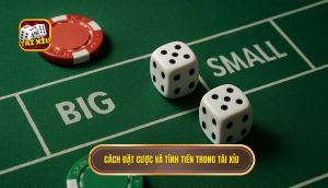 cách đặt cược và tính tiền trong tài xỉu