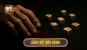 cách bắt bão sicbo