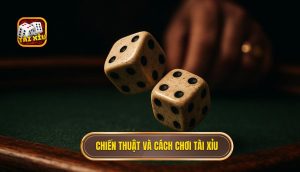 chiến thuật và cách chơi tài xỉu