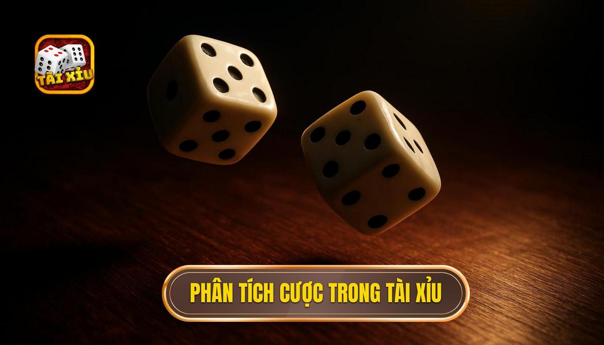 Phân tích các loại hình cược phổ biến trong tài xỉu xí ngầu