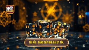 Tài xỉu – Đẳng cấp nhà cái uy tín.