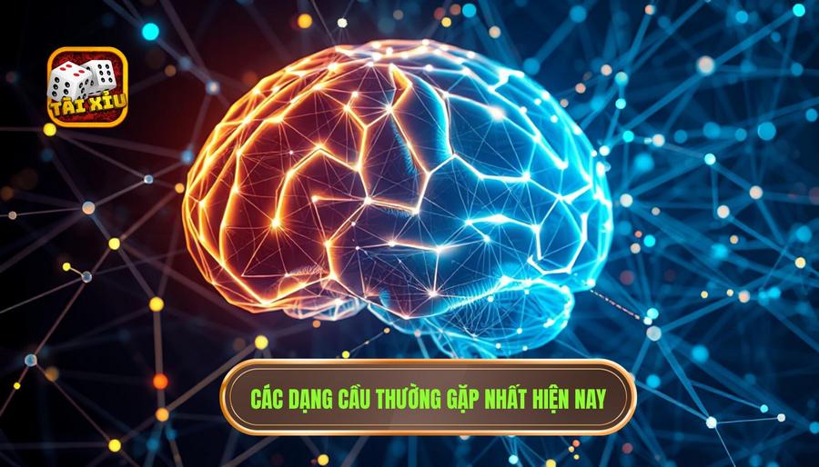 Tại sao cần nhận biết những dạng cầu thường gặp nhất?