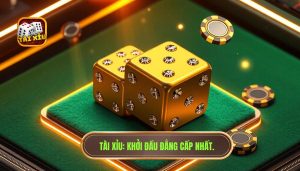 Người mới nên bắt đầu như thế nào để thắng lớn tại TÀI XỈU?
